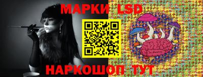 шишки Тара