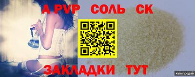 шишки Тара