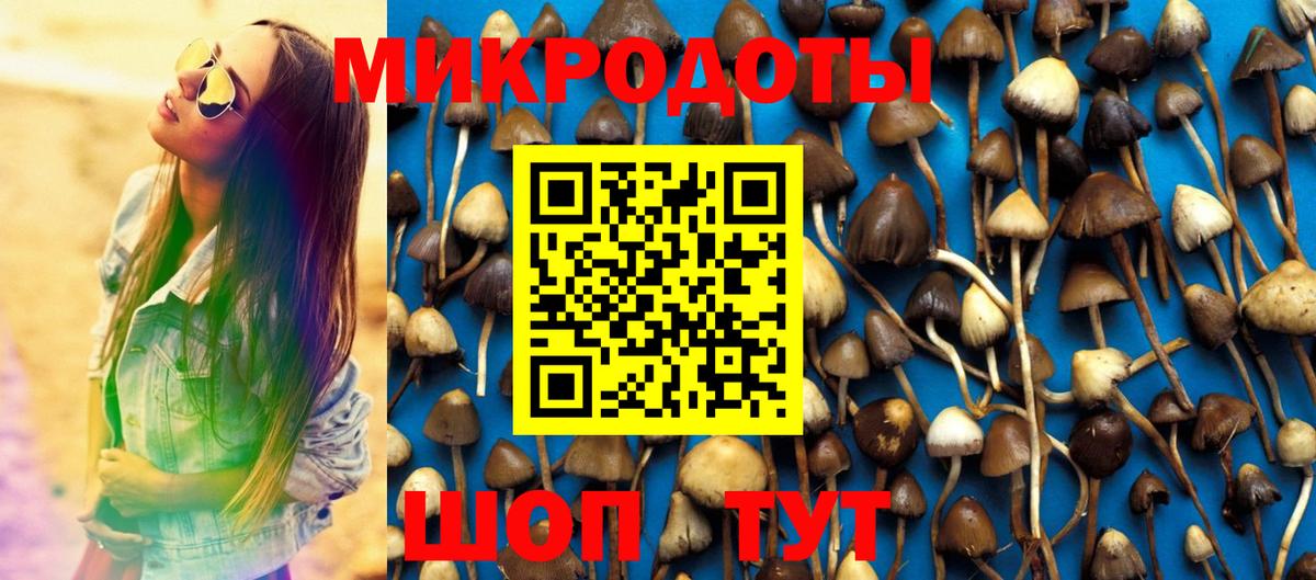 наркота  Вход с VPN  Камышлов  Галлюциногенные грибы Cubensis 